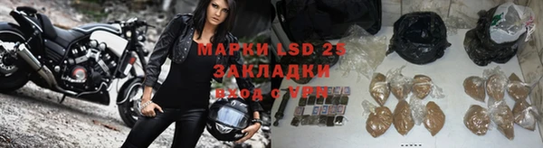 дурь Алексин