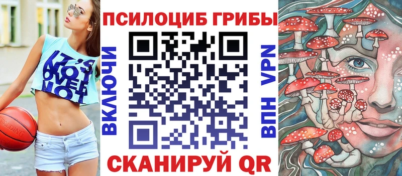 купить наркотики цена  Полевской  Галлюциногенные грибы Psilocybe 